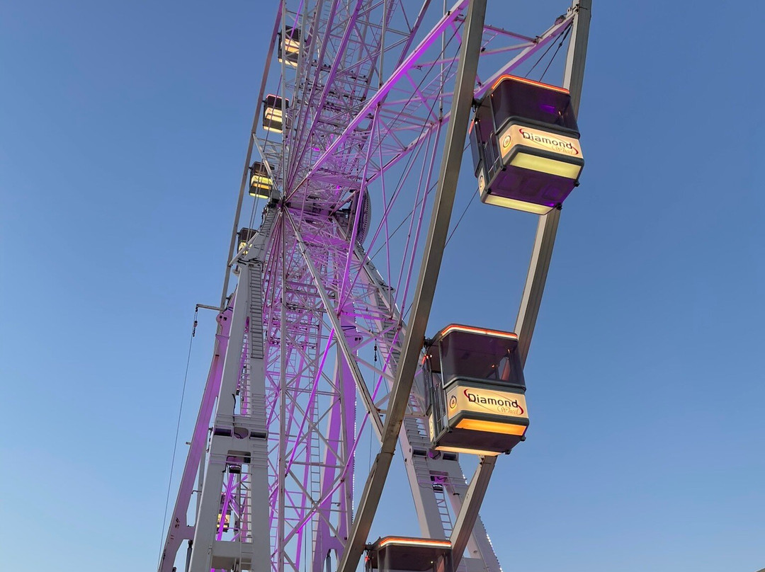 The Wheel of Rimini-里米尼必去景点