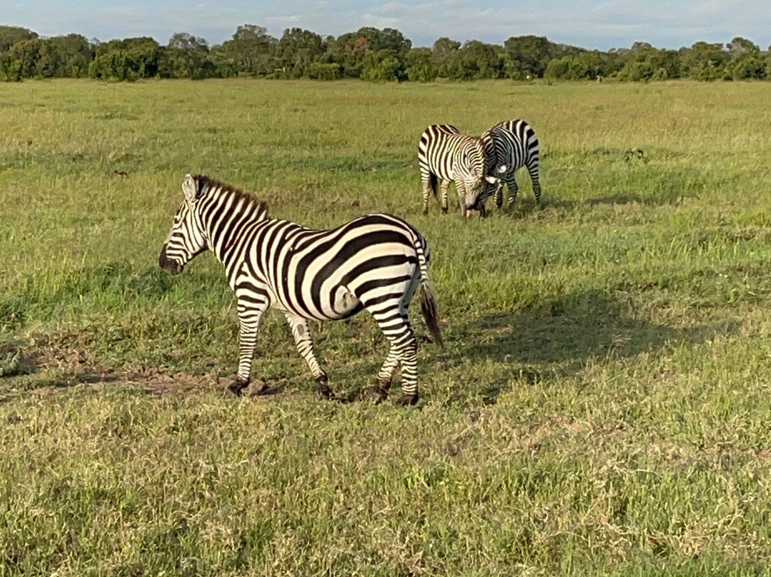Sailepu Safari Adventures-南由基必去景点