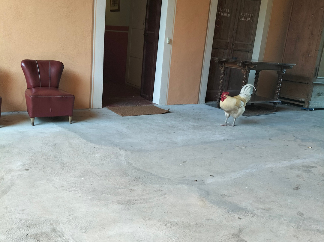B&B Casa di Arola主图