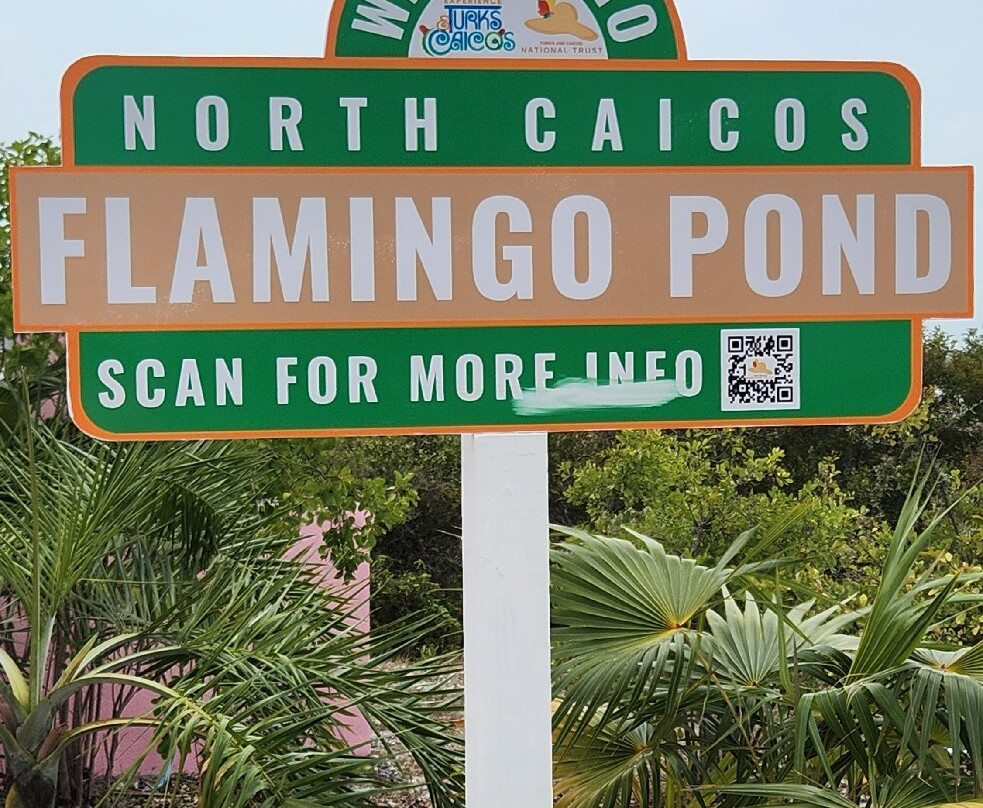 Flamingo Pond Overlook-North Caicos必去景点