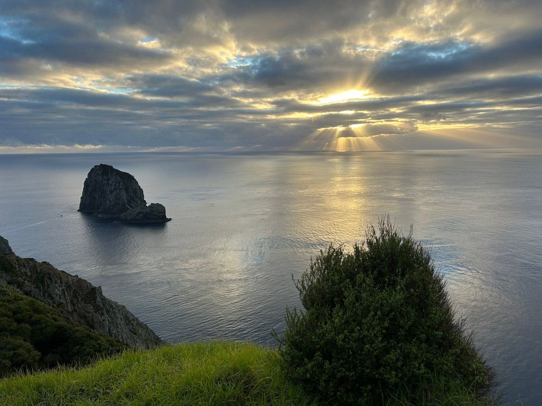 Cape Brett Walkway景点图片