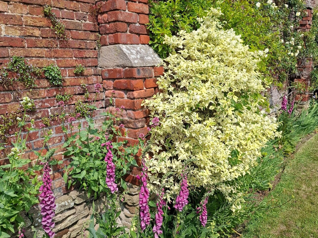Whalton Manor Gardens-莫佩思必去景点