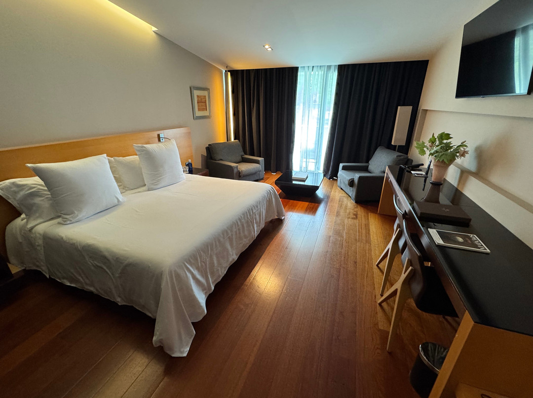 安道尔公园酒店主图