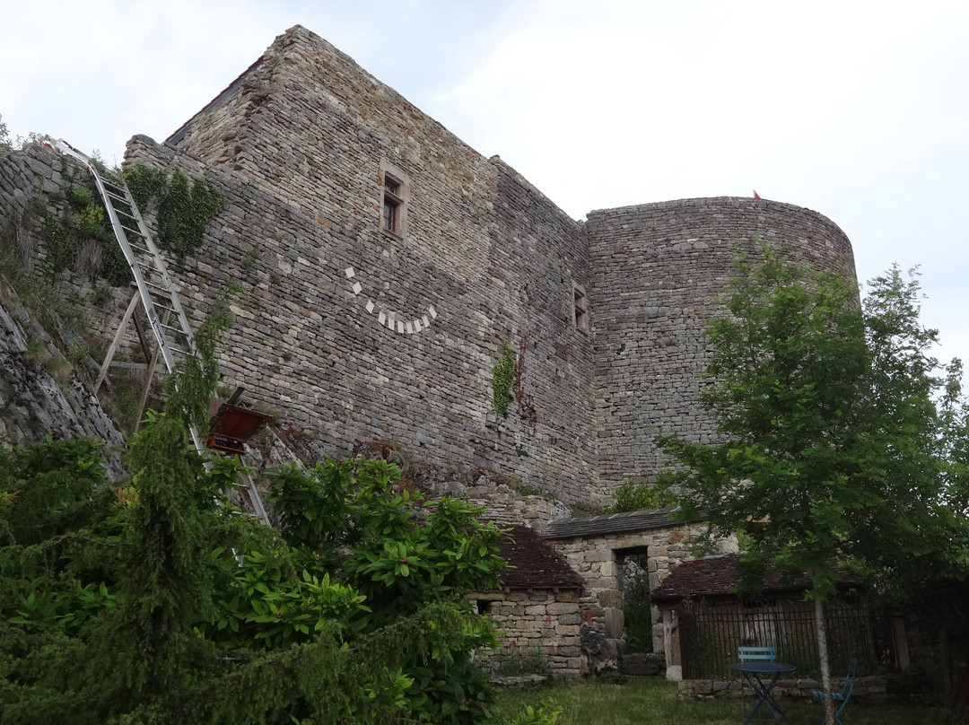 Château de Malain景点图片
