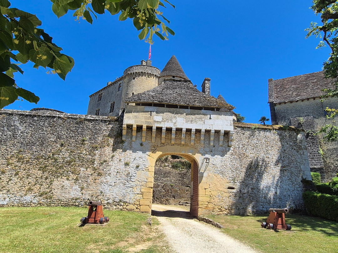 Le Chateau de Fenelon景点图片