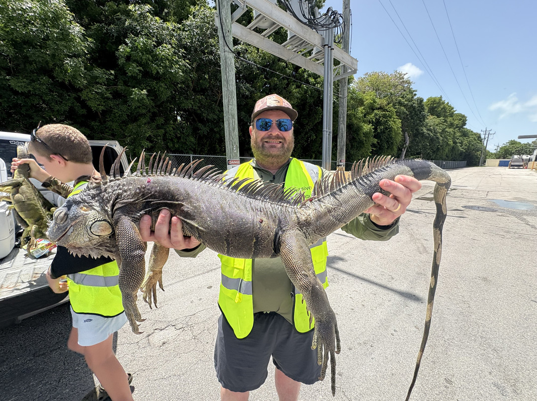 Invasive EnVogue-Ramrod Key必去景点