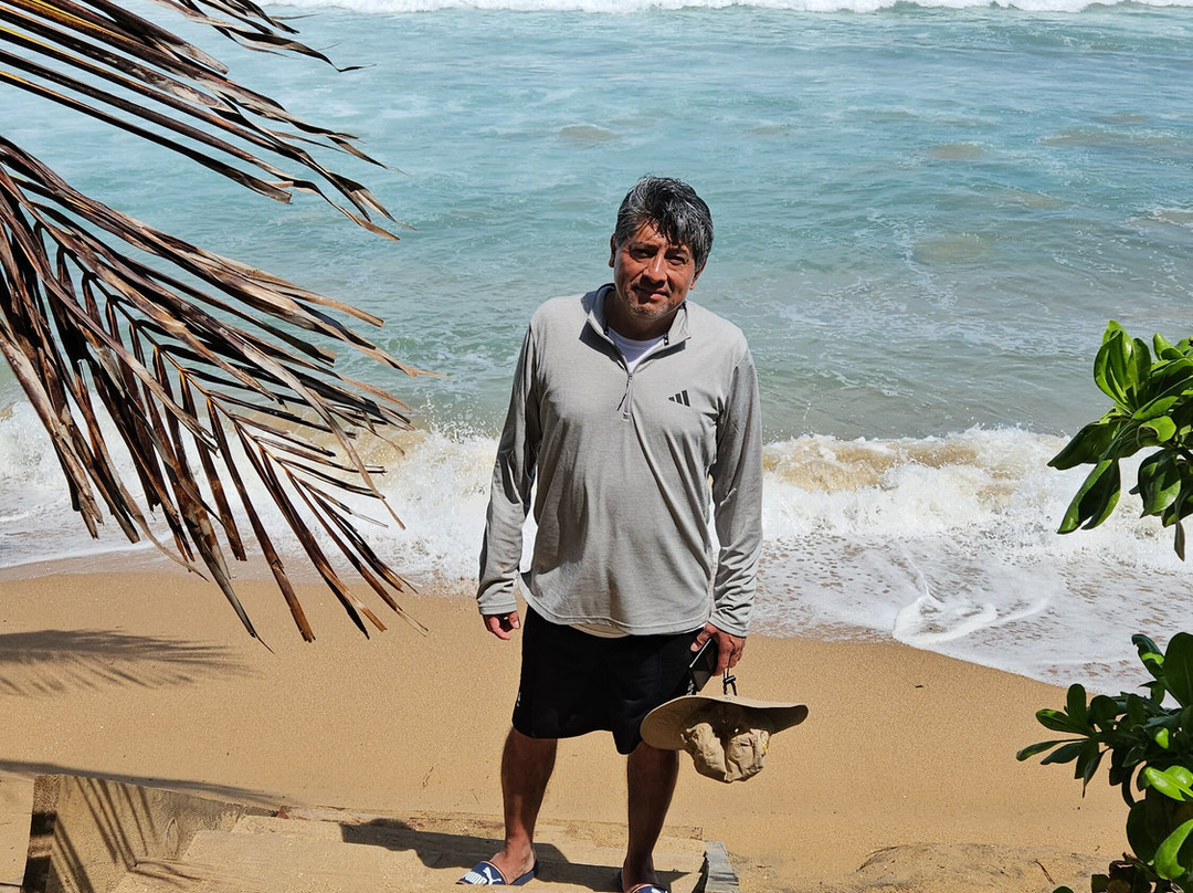 Bahía Maguey y el Órgano-瓦图尔科必去景点