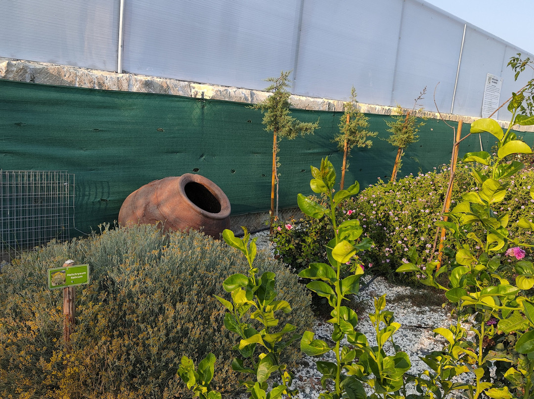 Pyrgos Aroma Herbal Park-Pyrgos必去景点