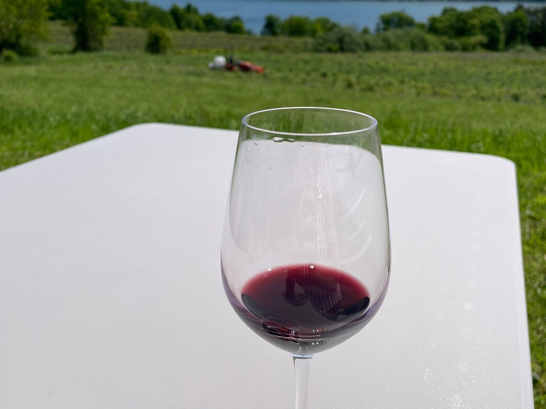 Divided Sky Vineyard-Hammondsport必去景点