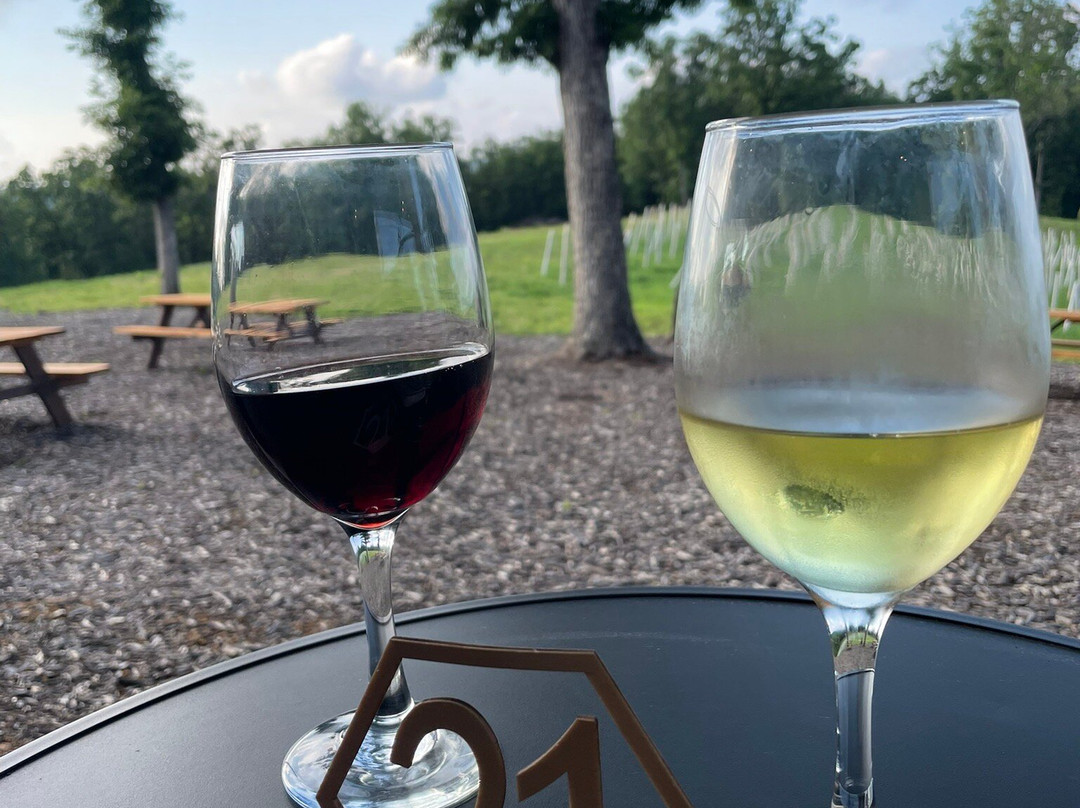 Mathany Family Vineyards-Lake of the Ozarks必去景点