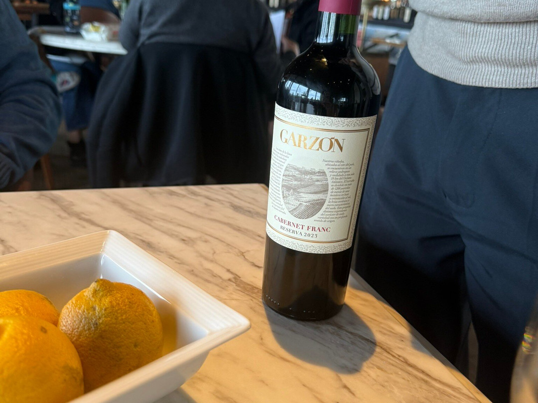 Bodega Garzon-Garzon必去景点