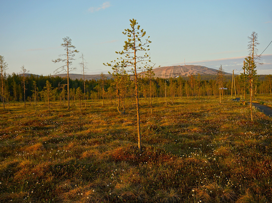 Kukastunturi