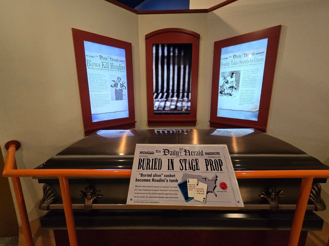 The History Museum At The Castle-阿普尔顿必去景点