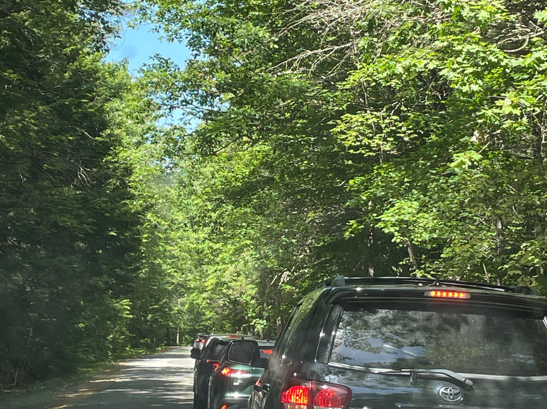 Range Ponds State park-Poland Springs必去景点