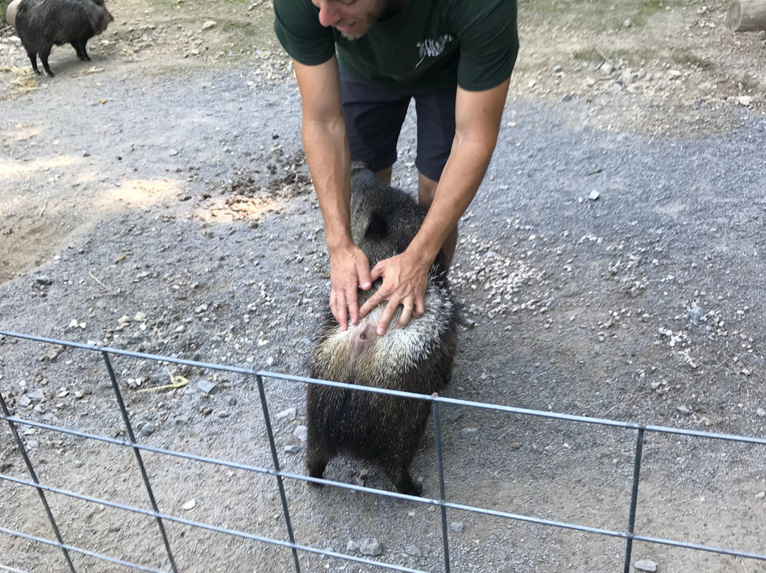 Creature Features Tennessee