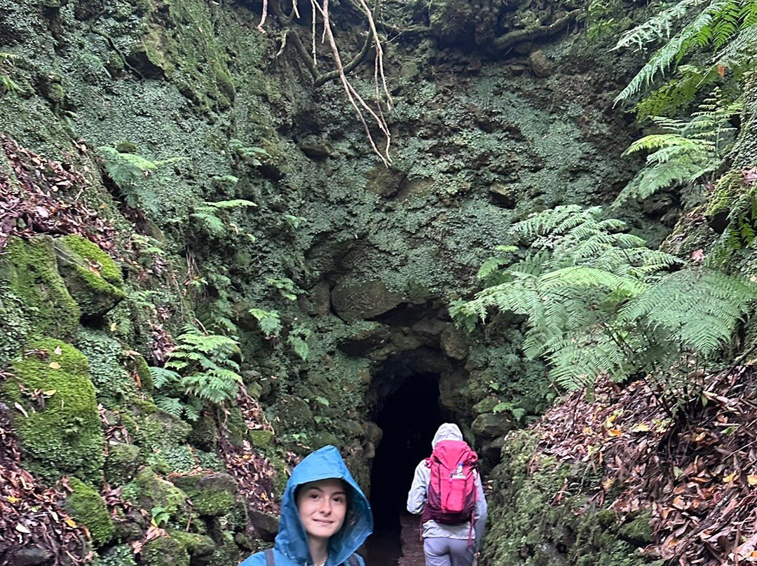 Madeira Orchid Travel-沙尔必去景点