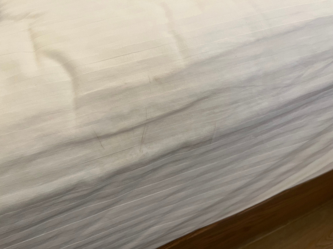 巴拉望俱乐部乐园度假村主图