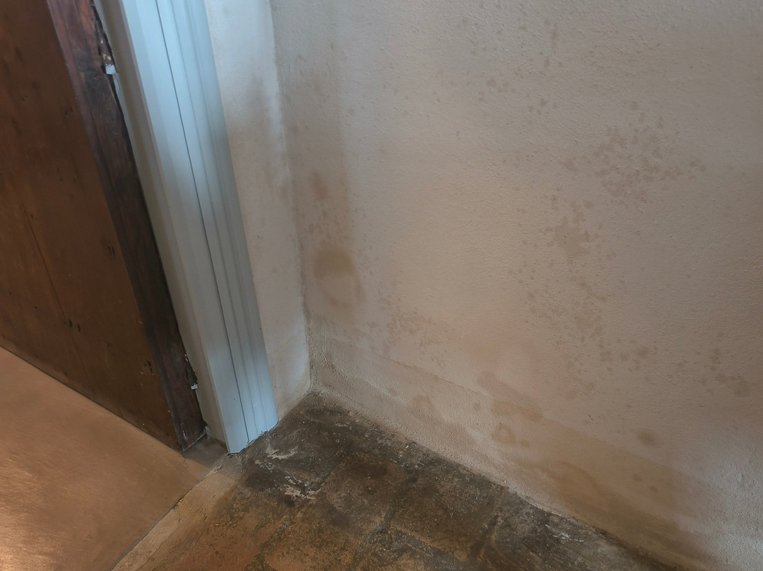 La Pileta - Grupo Califa