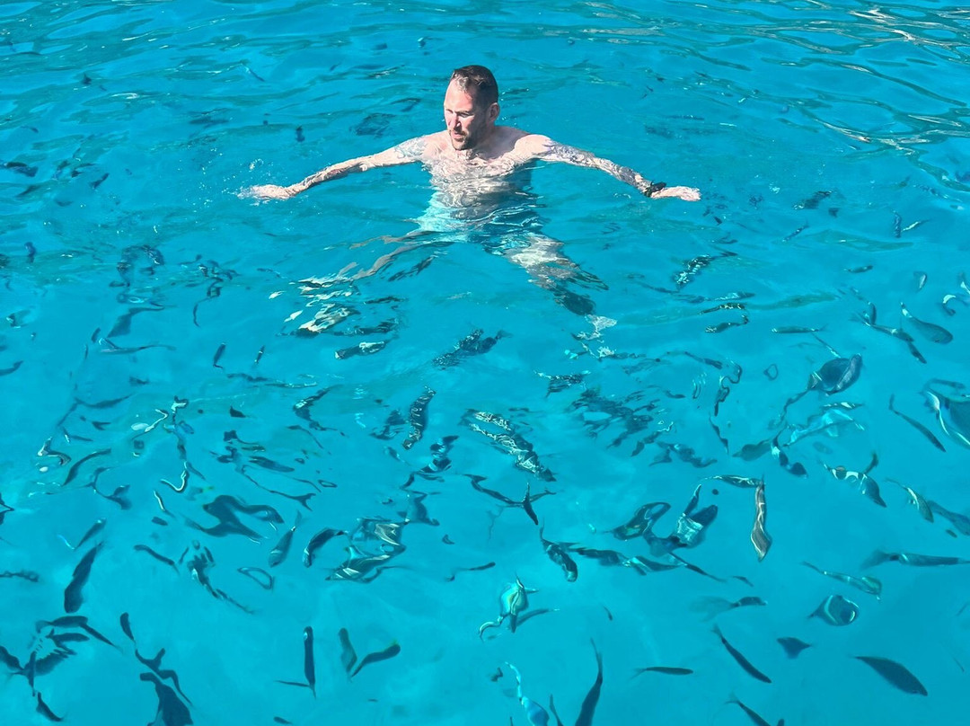 Ocean Charter Mallorca-Cala Figuera必去景点