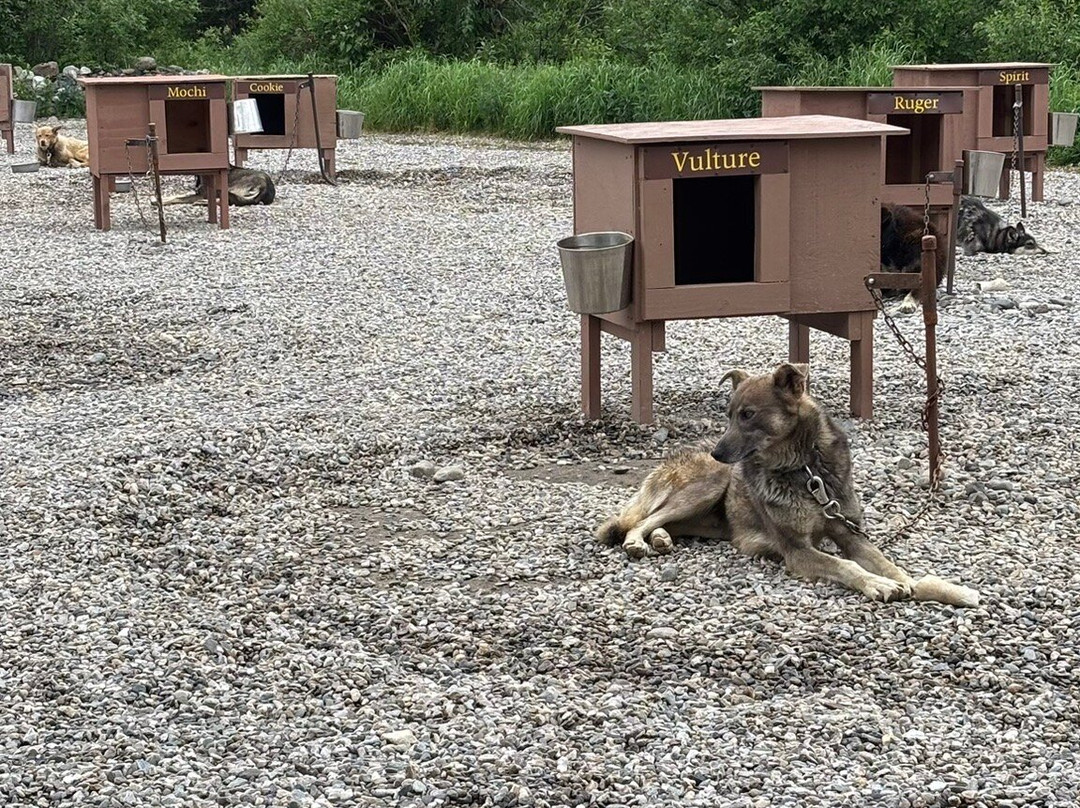 Dog Gone It-坎特维尔必去景点