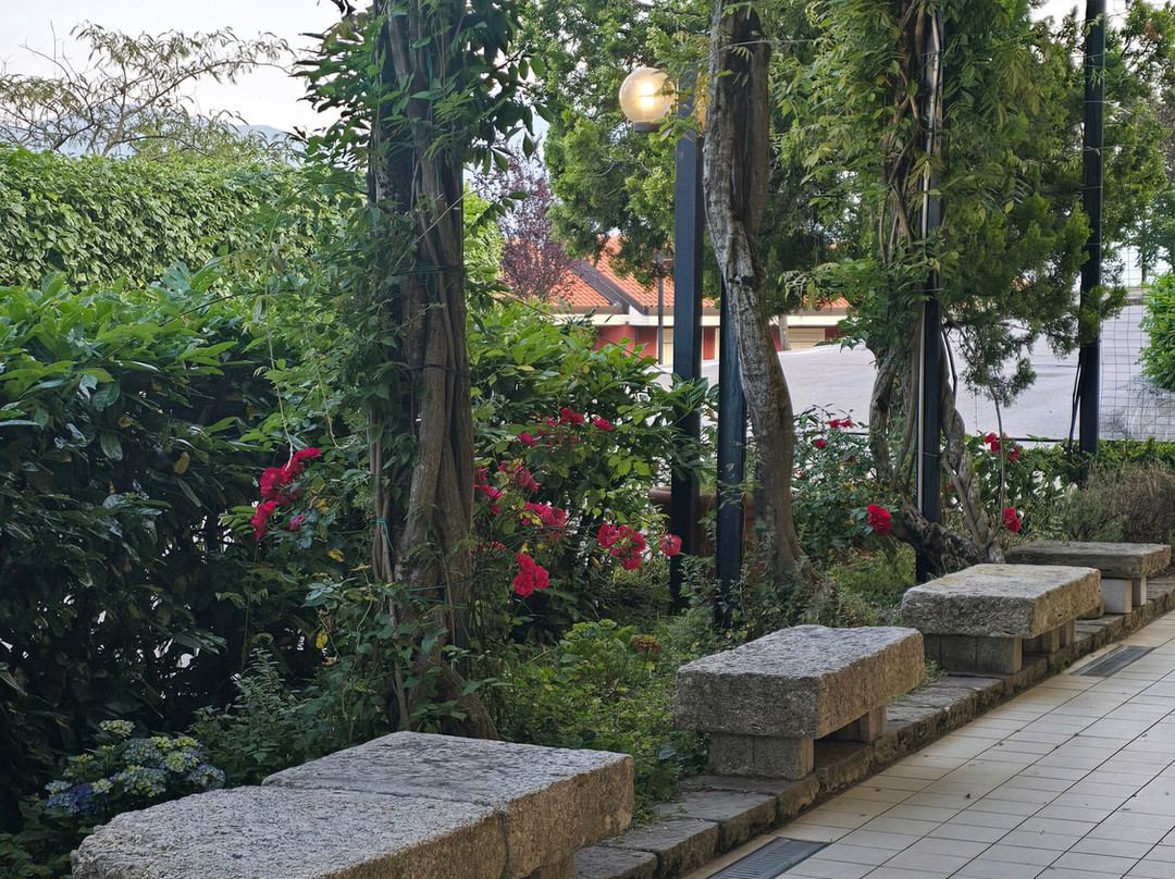 Hotel Colucci主图