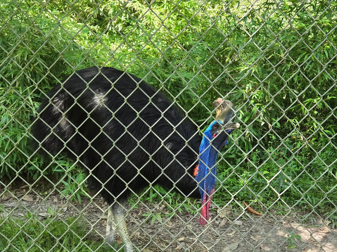 Baton Rouge Zoo-巴吞鲁日必去景点