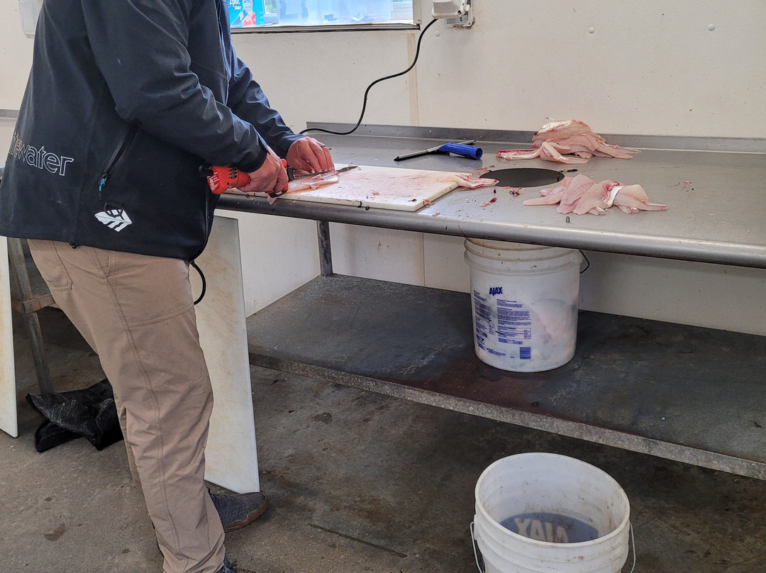 Perch Patrol-Devils Lake必去景点