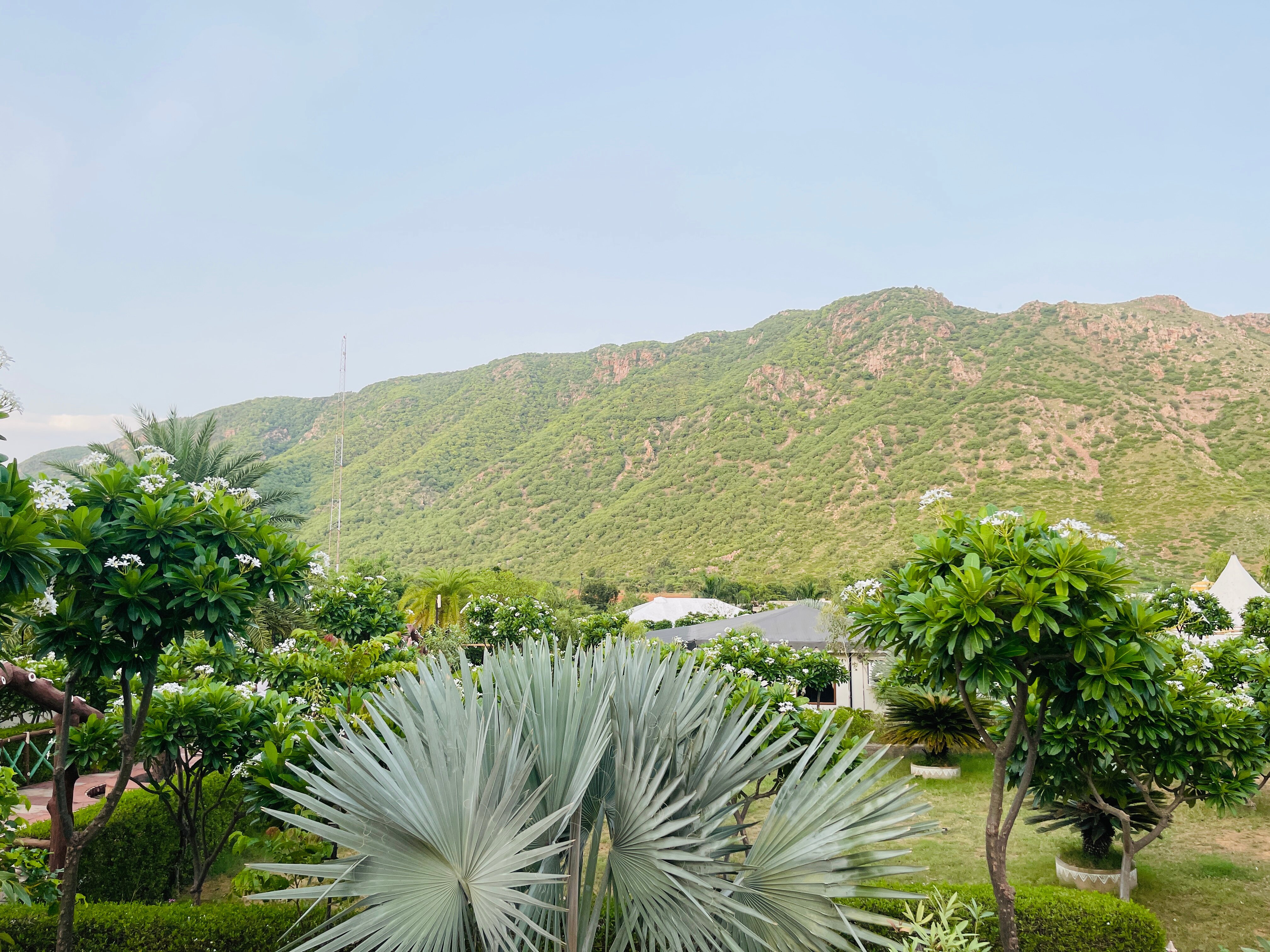 Serene Aravali Resort-官方