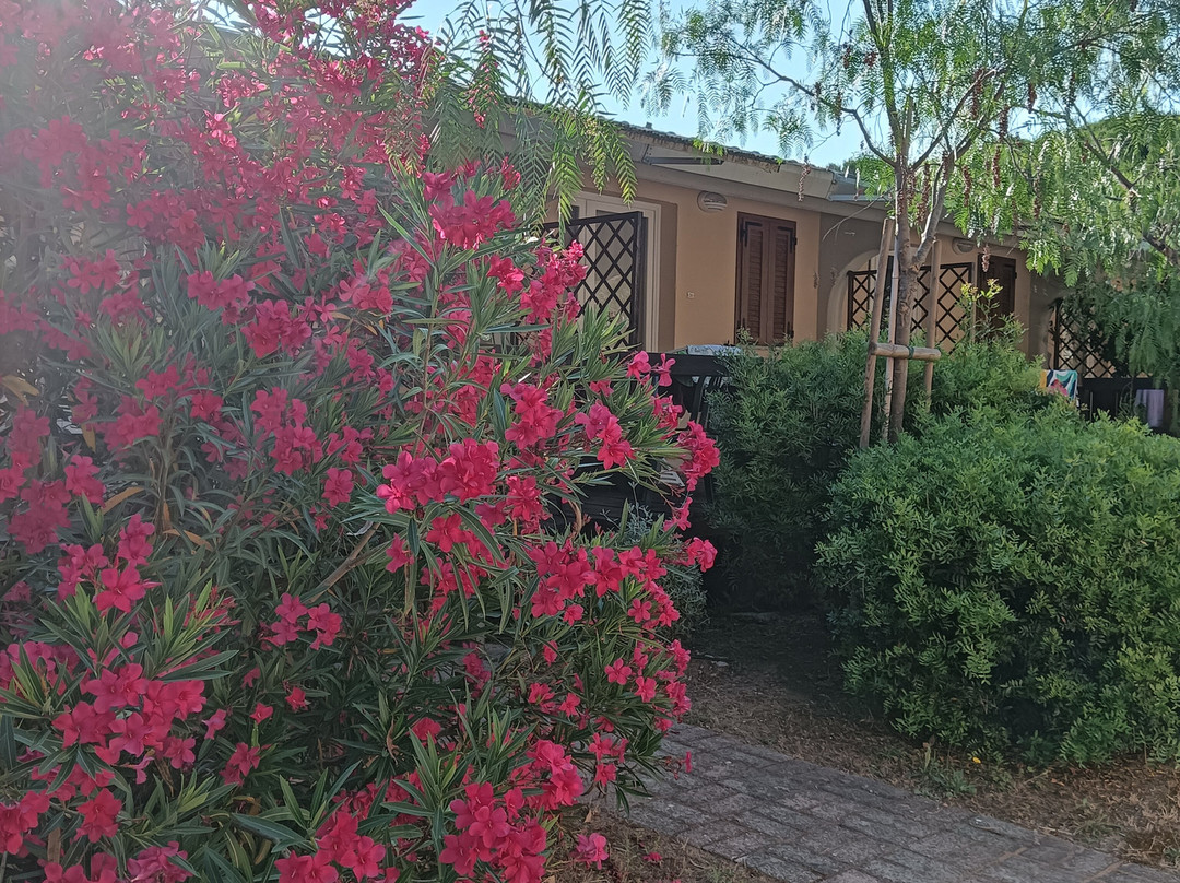 Golfo di Maremma Village主图