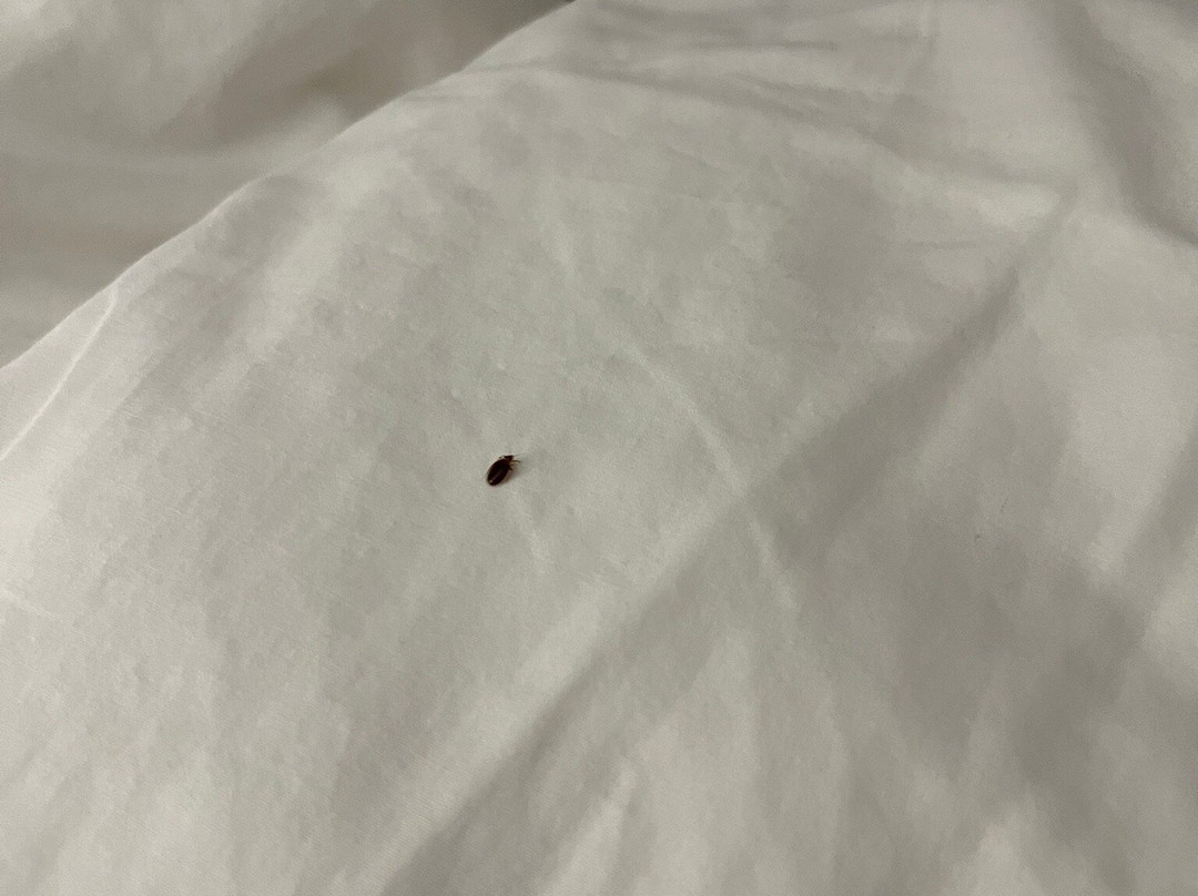 Madison Marriott South主图