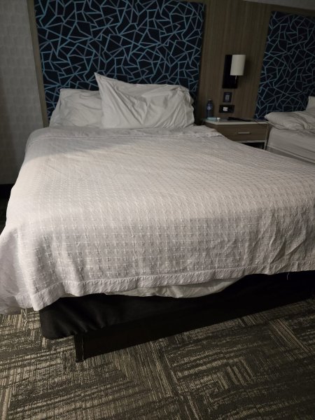 安大略伦敦Homewood Suites by Hilton-客卧