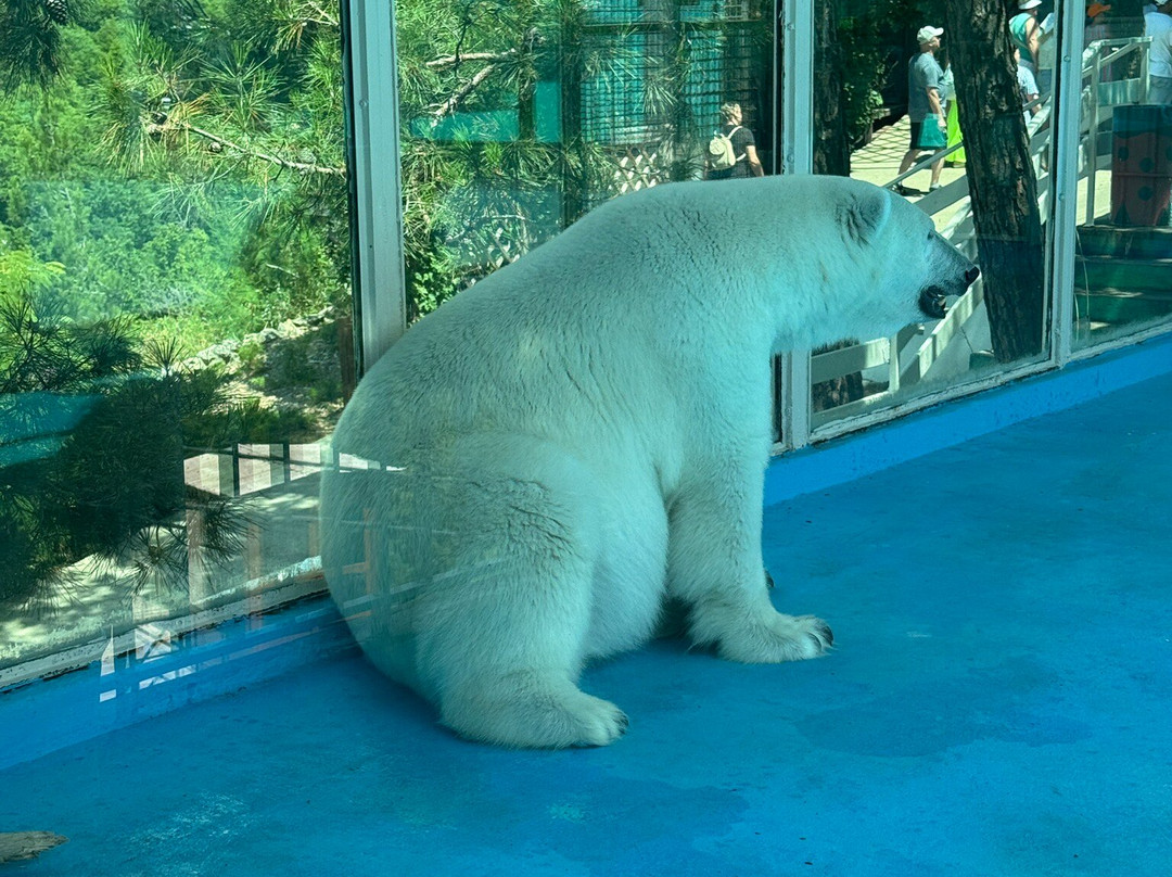 Safari Park-Gelendzhik必去景点
