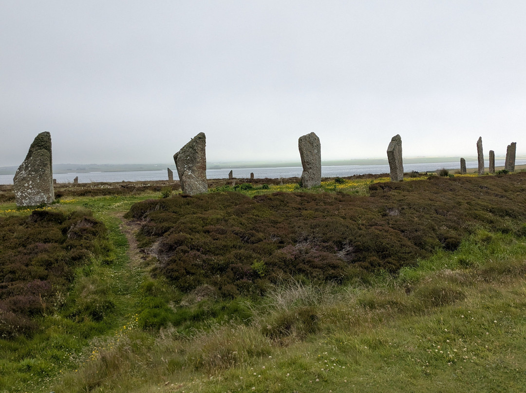 Experience Orkney Tours-奥克尼群岛必去景点