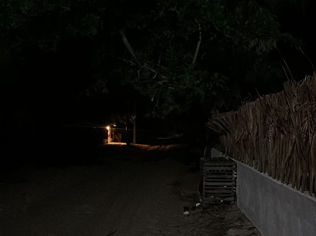 Praia de Atins-Atins必去景点