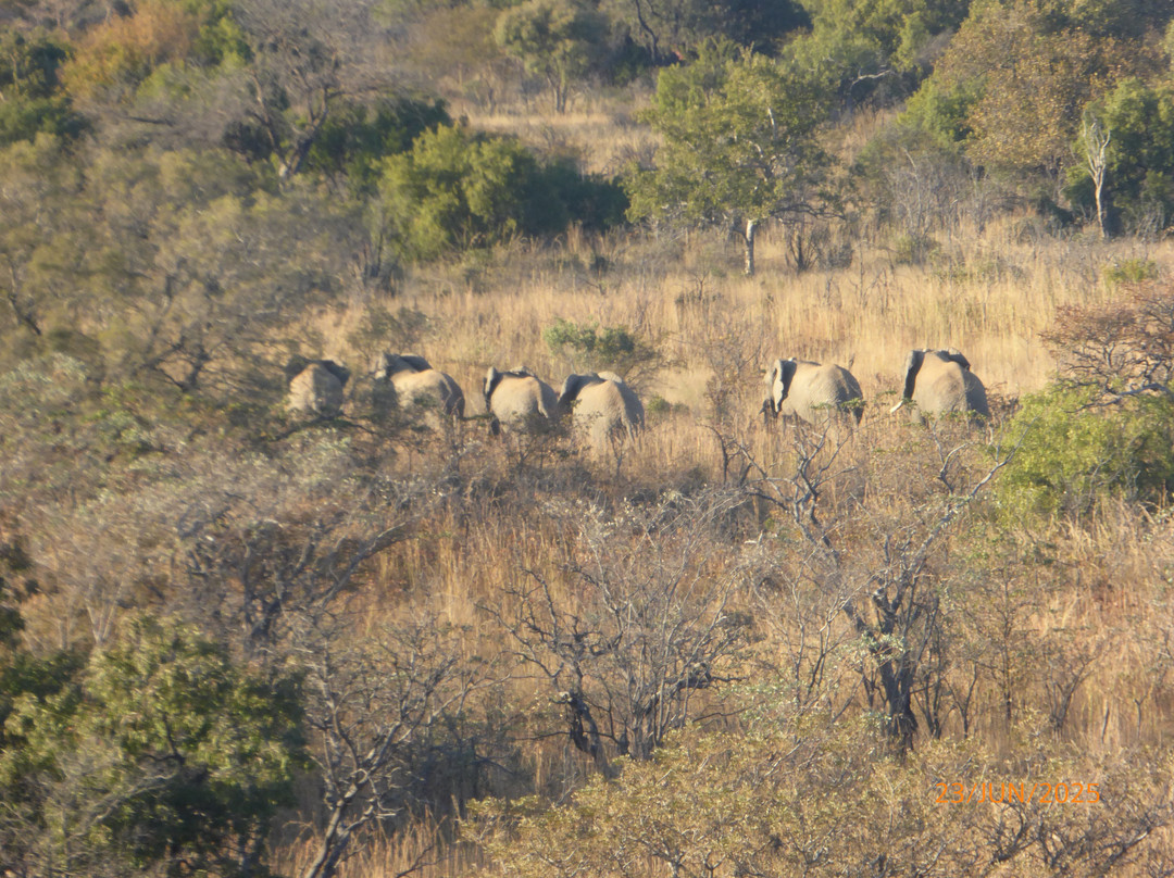 Bill Harrop's Original Balloon Safaris-Magaliesburg必去景点