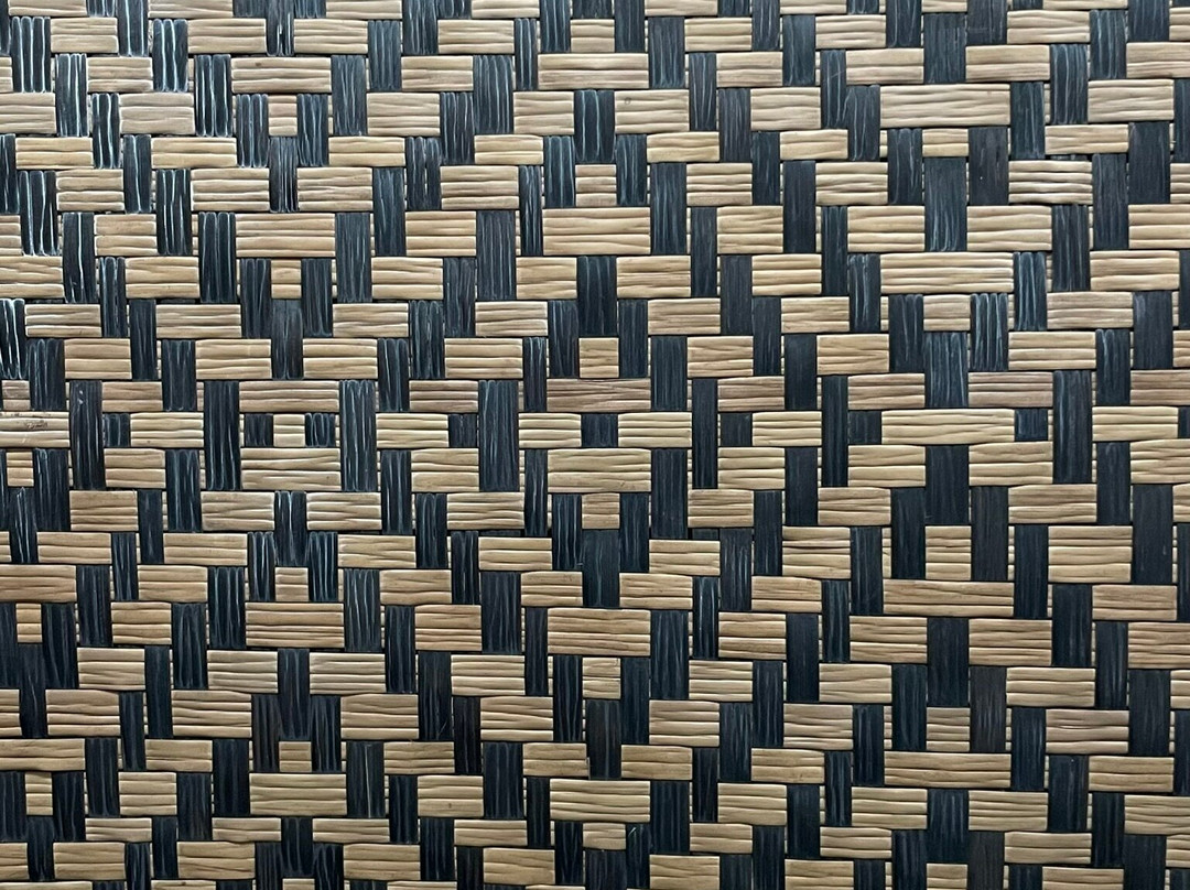 Cultural Centre of the Peoples of the Amazon-玛瑙斯必去景点