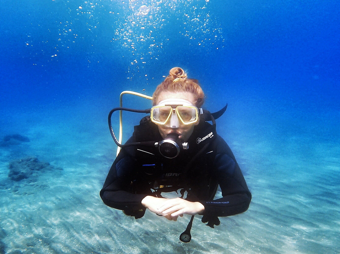 Tenerife Into The Blue - Dive In The Adventure-Abades必去景点