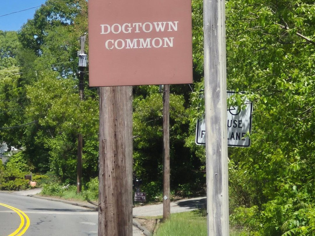 Dogtown Common-格洛斯特必去景点