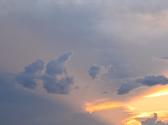 Destin's Original Sea Blaster-德斯廷必去景点