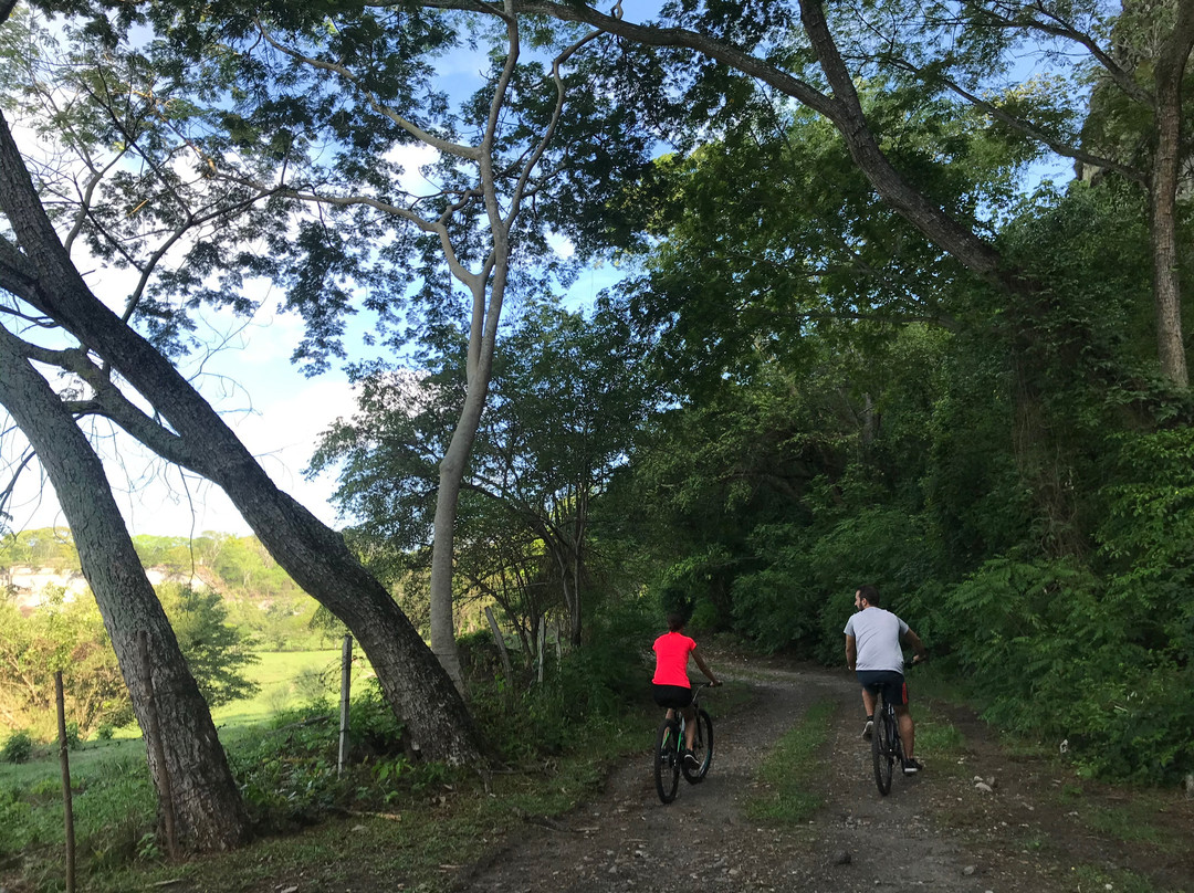 Waka Hotel Rural主图