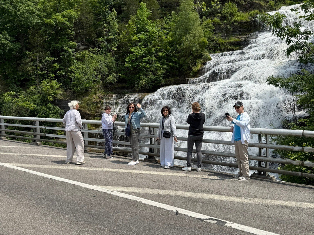 Hector Falls-Hector必去景点