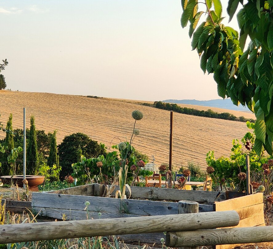 Agriturismo Podere Il Fornacino主图