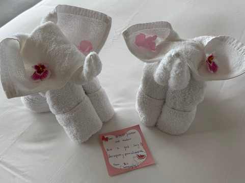 曼谷河畔安凡尼酒店主图