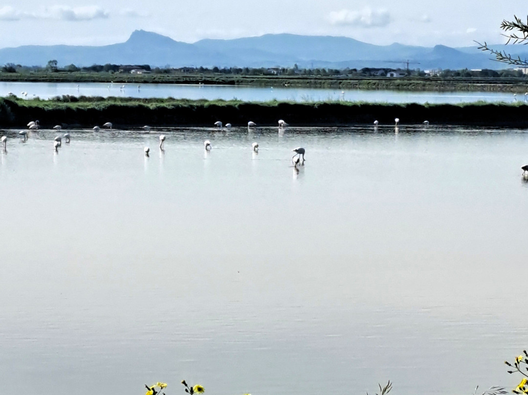 Parco della Salina di Cervia-切尔维亚必去景点