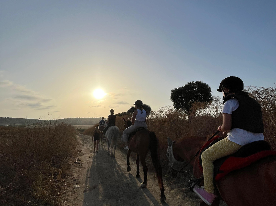 Al-Mesquid Stables-Sanlucar de Barrameda必去景点