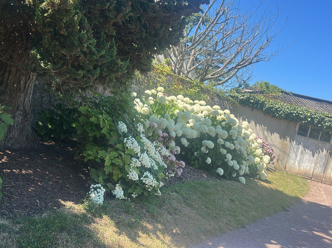 Jardin Public de Bayeux-巴约必去景点
