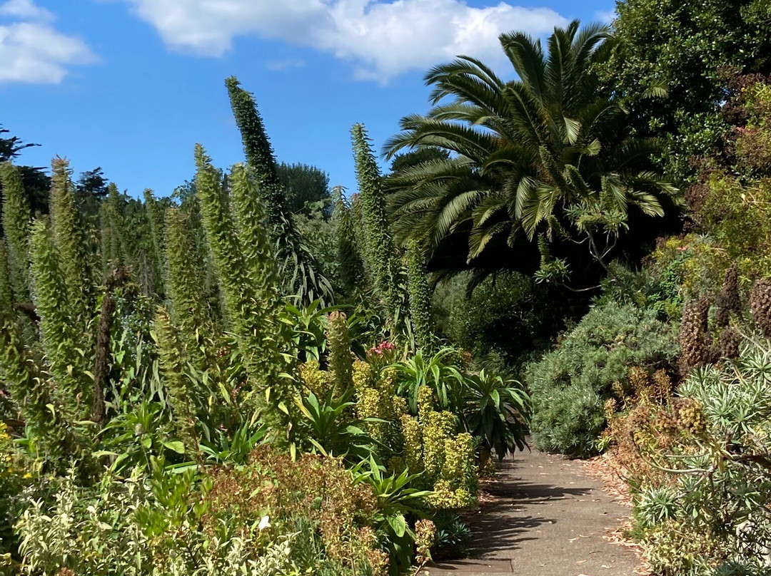 Ventnor Botanic Garden-文特诺必去景点