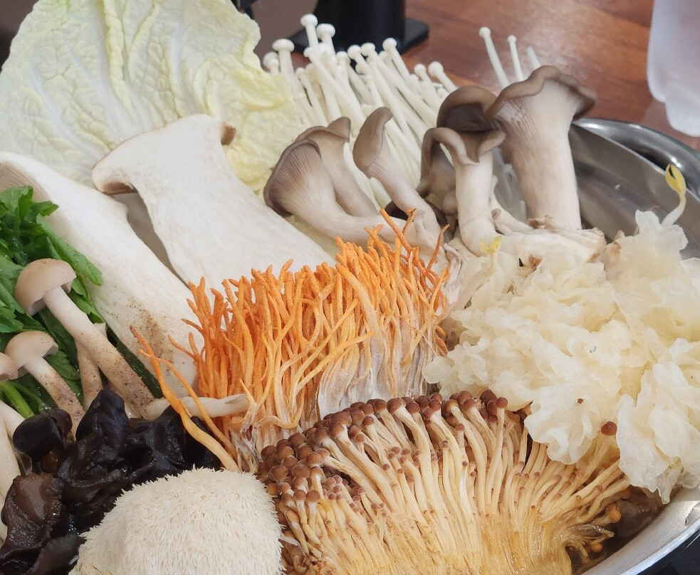 National Treasure Dumplings