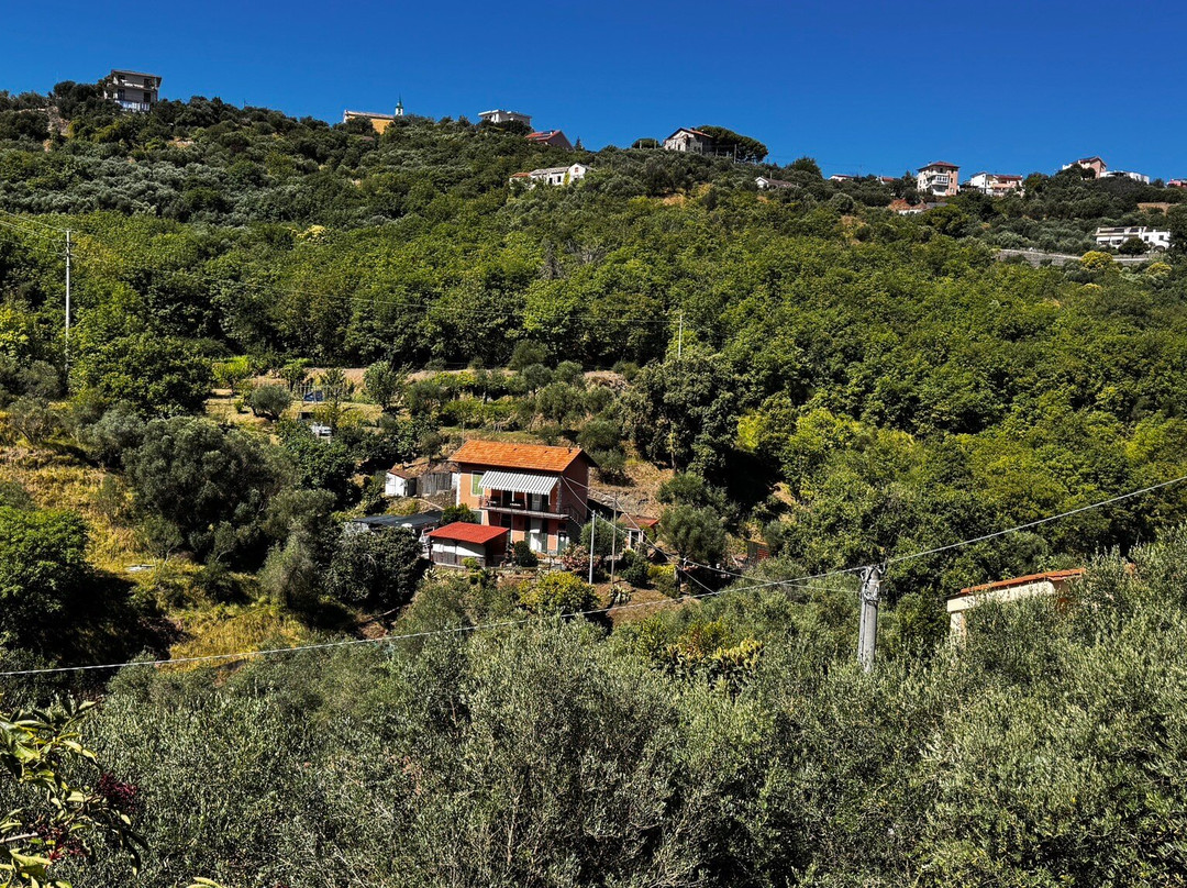 Bed & Breakfast La Casa al Mare主图