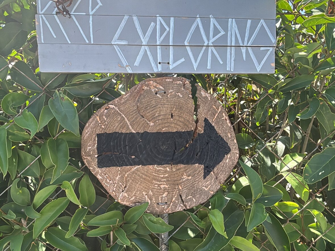 Aloe Vera & Herbal Health Farm-Fanes必去景点